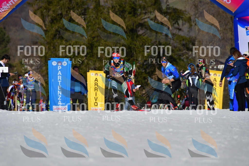 _DSC9719 | holidayphoto