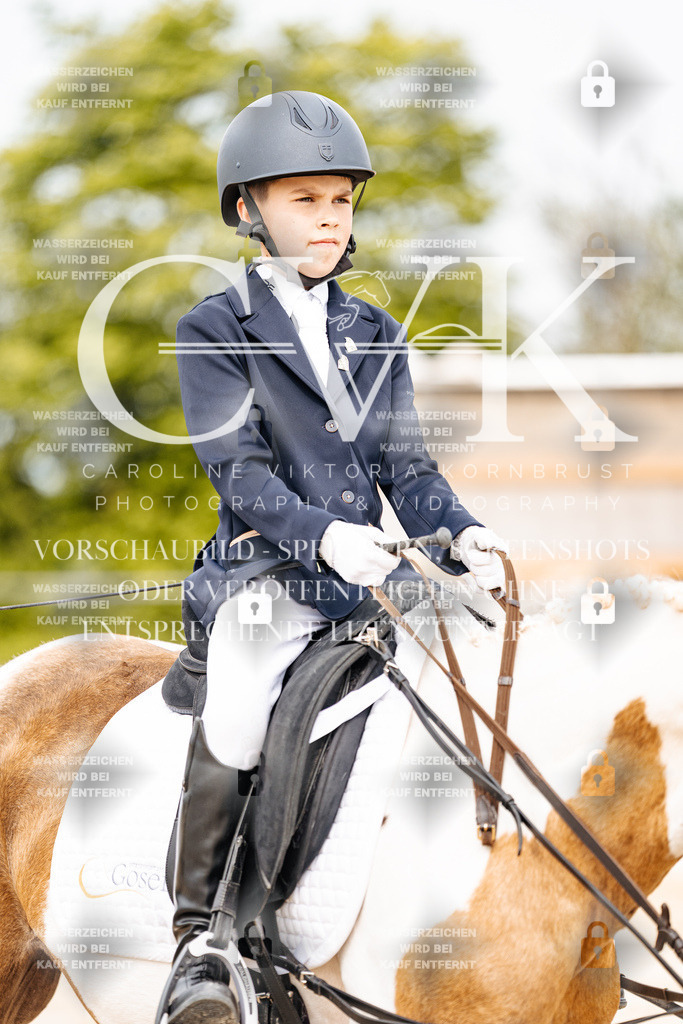 CK904571 | Turnierfotografie Pferdefotografie Trier Rheinland-Pfalz Pferdesport Reitsport Tierfotografie Sportfotografie Pferdevideo Pferdevideografie Equestrianvideography equestrianphotography  - Realisiert mit Pictrs.com