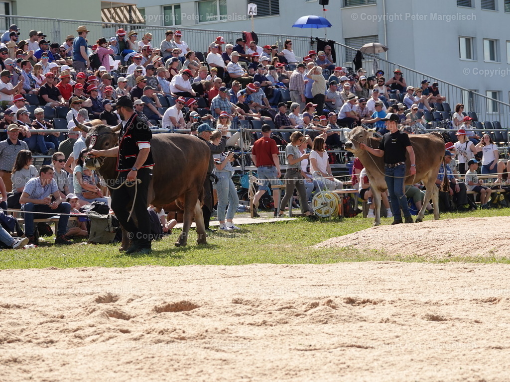DSC06879 | Schwingen - Realisiert mit Pictrs.com