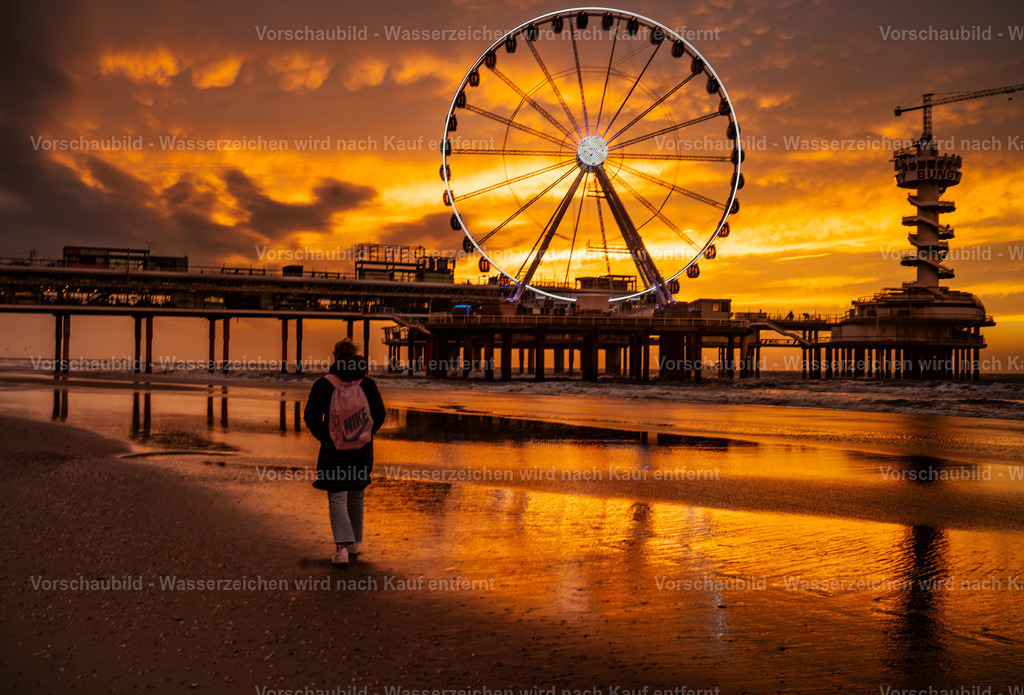 DSC00669-Enhanced-NR | marcuslinek