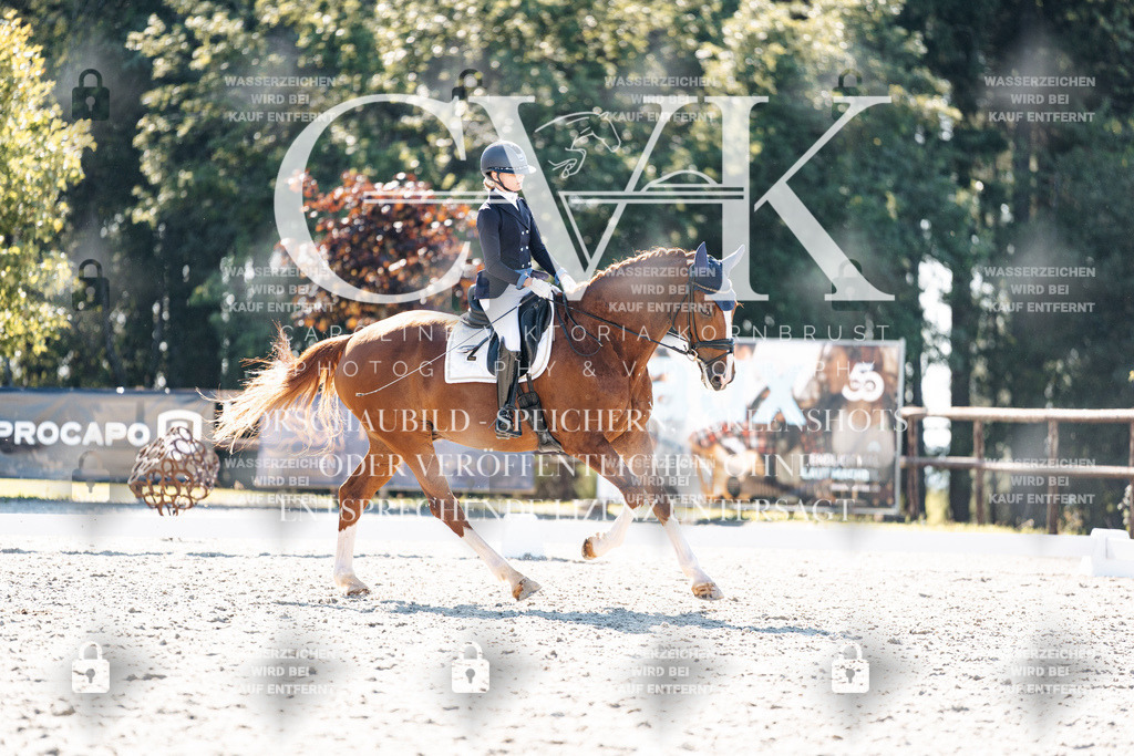 CK905521 | Turnierfotografie Pferdefotografie Trier Rheinland-Pfalz Pferdesport Reitsport Tierfotografie Sportfotografie Pferdevideo Pferdevideografie Equestrianvideography equestrianphotography  - Realisiert mit Pictrs.com