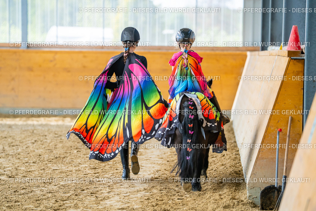 DSC00573 | Pferdegrafie