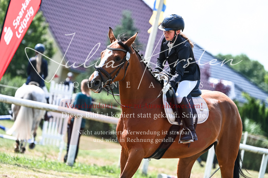 DSC_8686 | Pferde- und Turnierfotografie in Westsachsen. Pferdeportraits, Auftragszeichnungen und intuitive Kunst.