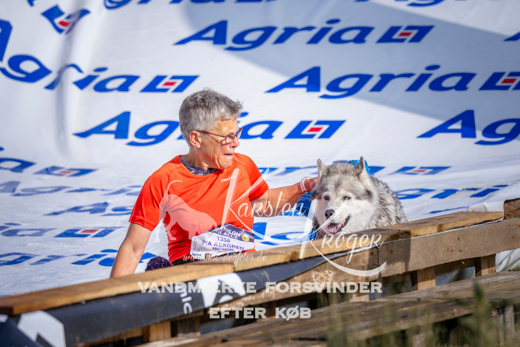 _ZZ959490731 | kk-dogfotos