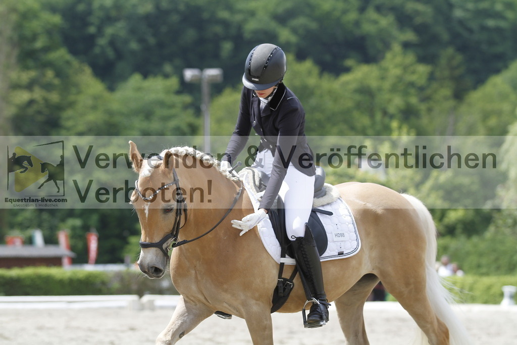 _MG_9476 | equestrian-live-com
