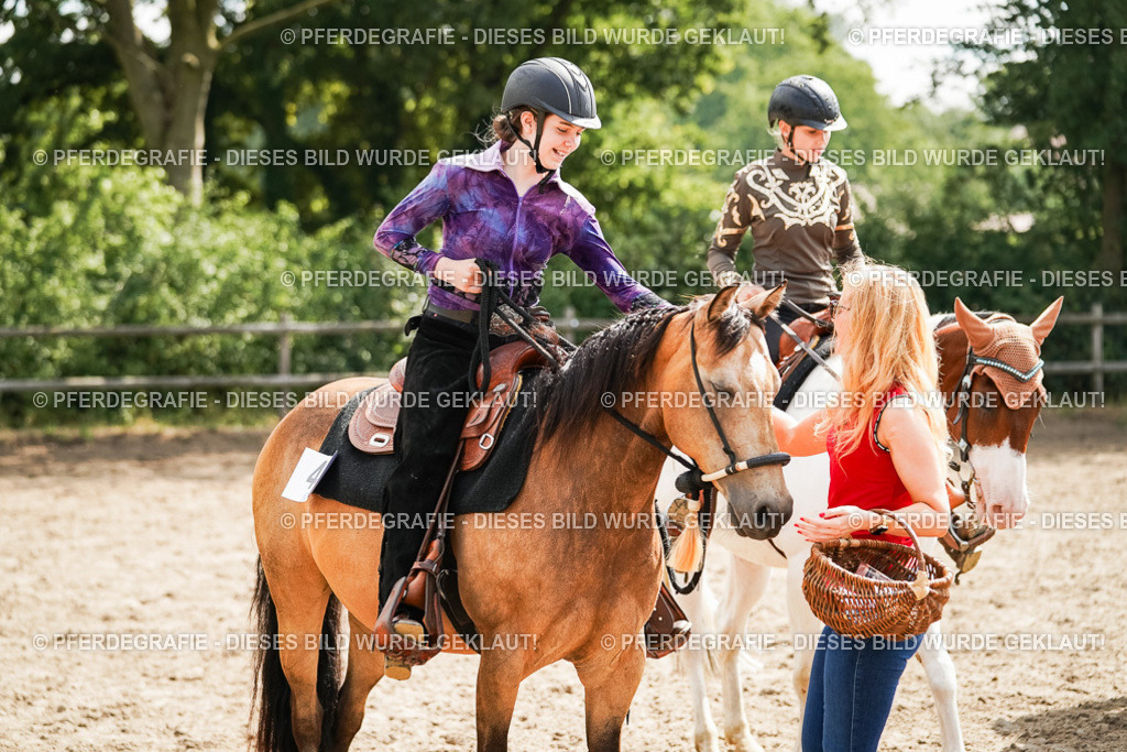 DSC05088 | Pferdegrafie