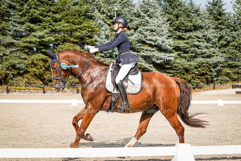 DSC07691 | Pferdegrafie