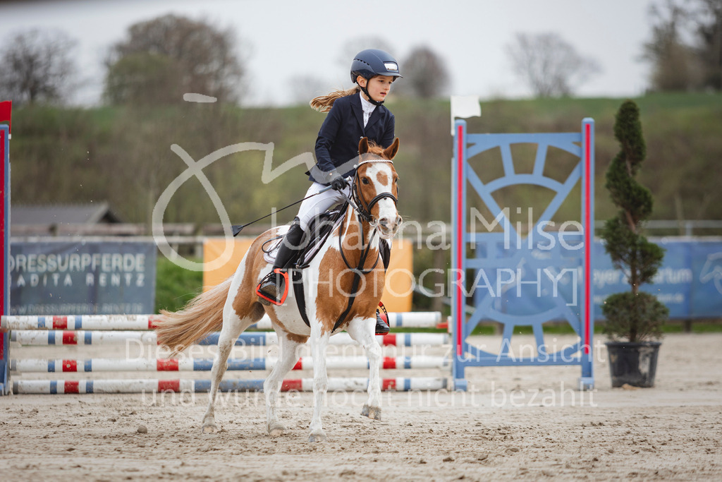 240330_Fruehlingsfest_Stilspring-WB-574 | Deine schönsten Turniermomente als professionelle Fotos! Entdecke hochwertige Pferdesport-Fotografie im Online-Shop. Jetzt Fotos finden & bestellen!