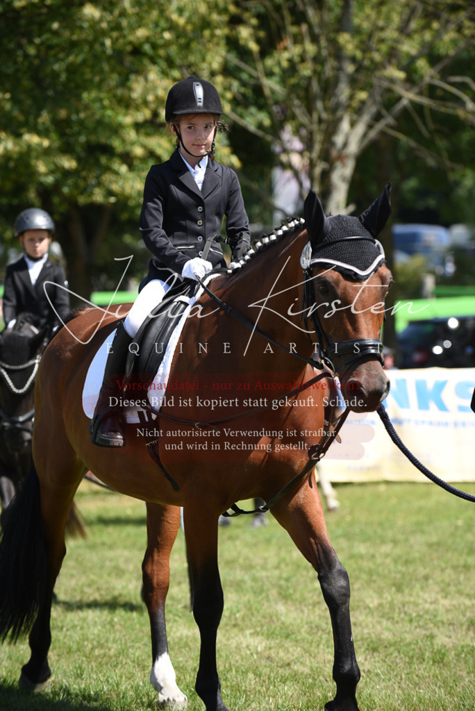 DSC_9750 | Pferde- und Turnierfotografie in Westsachsen. Pferdeportraits, Auftragszeichnungen und intuitive Kunst.