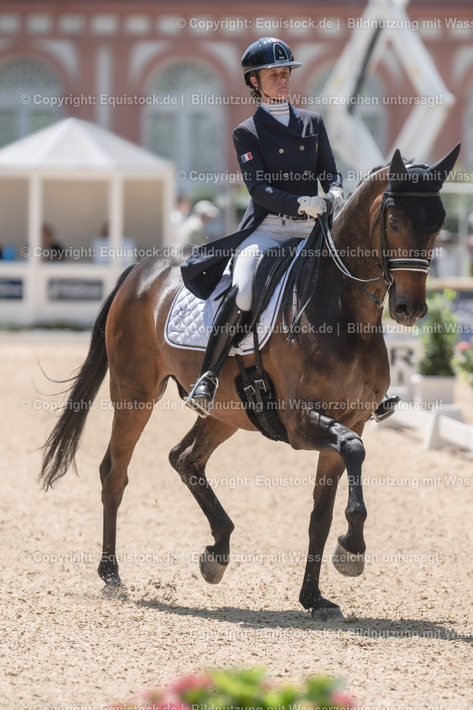 20230528_03_GP-Special-Tour_0287 | equistock