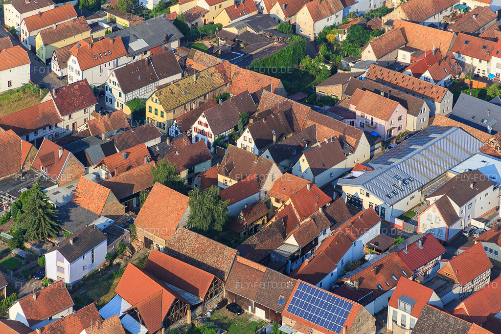 Luftbild: Pfalzstr in Zeiskam im Bundesland Rheinland-Pfalz in Deutschland. Foto: IMG_080627.jpg vom 12.06.2015 durch Werner Riehm/FLY-FOTO.de