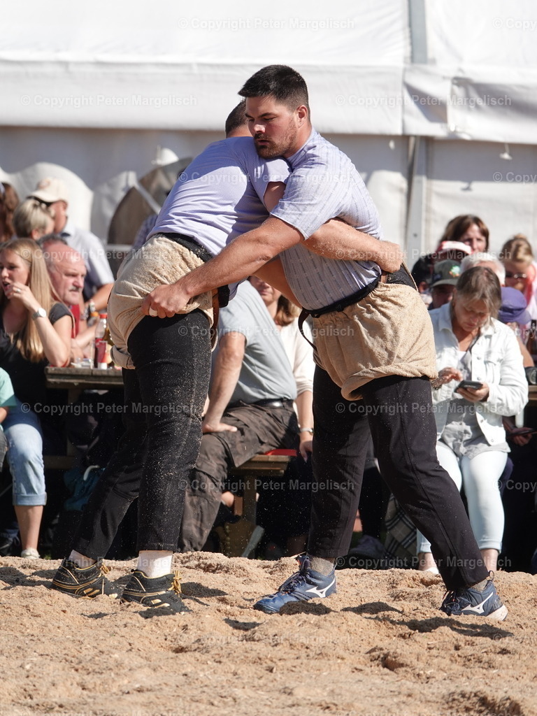 DSC05594 | Schwingen - Realisiert mit Pictrs.com