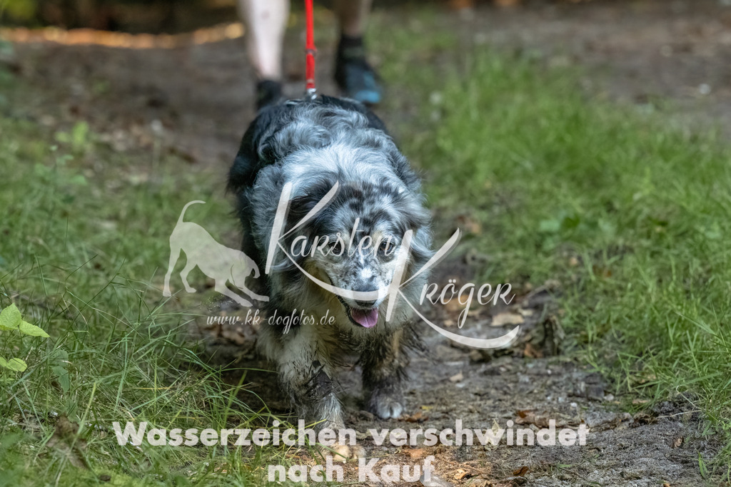 0946_ZZ91870-Bearbeitet | kk-dogfotos