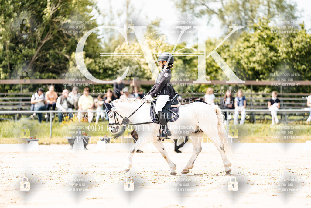 CK901796 | Turnierfotografie Pferdefotografie Trier Rheinland-Pfalz Pferdesport Reitsport Tierfotografie Sportfotografie Pferdevideo Pferdevideografie Equestrianvideography equestrianphotography  - Realisiert mit Pictrs.com