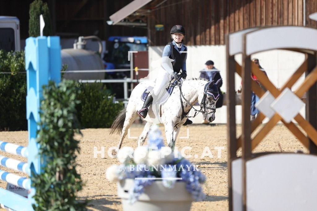 0P6A7985 | Willkommen bei Brunnmayr - Design & Fotografie – Ihrem Spezialisten für Reitturniere und Pferdeveranstaltungen in Oberösterreich, Salzburg und Bayern! Seit über 17 Jahren sind wir leidenschaftlich dabei.