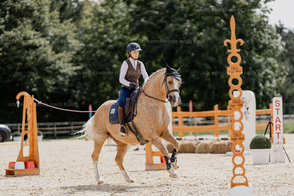 Nici11_FHC2025-01639 | working equitationturnier fotograf videograf stoibphotography marixx film working equitation deutschland reitsport turnierfotografie eventfotografie equestrian events