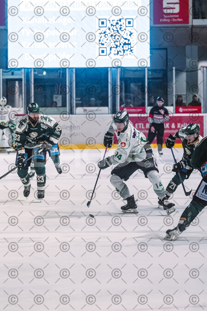 Erding_vs_Alligators_02_01_2026-72 | Höchstadt Alligators Fotogalerie: Eishockey-Action aus Franken. Professionelle Spielfotos, Portraits & Stadionbilder zum Download. Jetzt entdecken! - Realisiert mit Pictrs.com