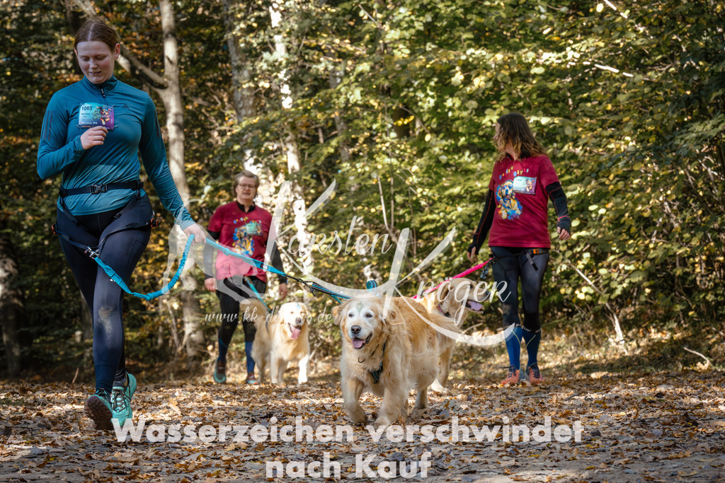 1235_ZZ95581 | kk-dogfotos