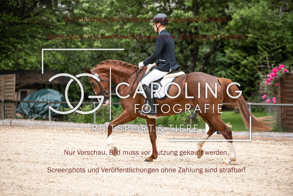 DSC_3042 | Turnierfotografin Carolin Gieschke,Reitsport Turnierfotografie Carolin G Fotografie | Turnierfotos aus Kirchheim/Teck, Esslingen, Stuttgart und dem Bodenseekreis