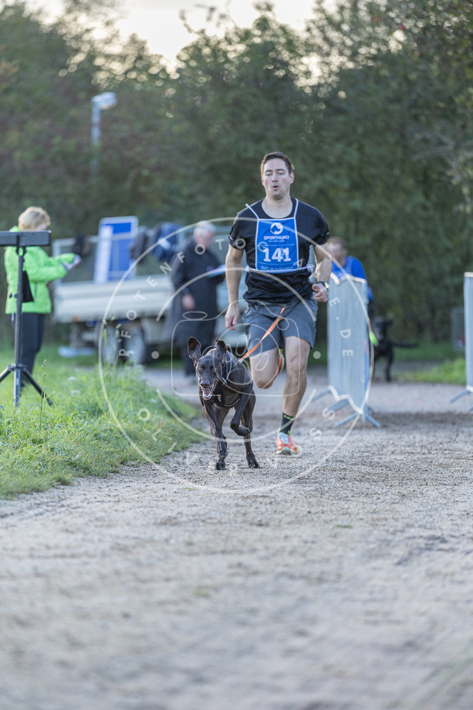Pfotenfotografie.de_DV3A2816 | Hundefotografie, Tierfotograf, Pfotenfotografie, Fotoshooting Hund, Hunde Portrait, Hundesport, Hundeportraits, Heideshooting, Hunde, Sportfotograf, Hundefotograf, Turnierhundsport, THS, canicross - Realisiert mit Pictrs.com