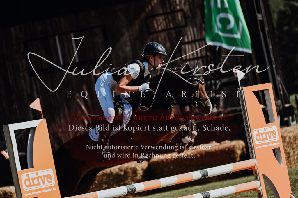 DSC_6837 | Pferde- und Turnierfotografie in Westsachsen. Pferdeportraits, Auftragszeichnungen und intuitive Kunst.