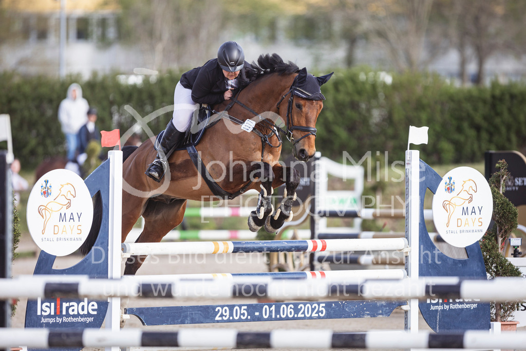 250419_Frühlingsfest_Springpf-L-321 | Deine schönsten Turniermomente als professionelle Fotos! Entdecke hochwertige Pferdesport-Fotografie im Online-Shop. Jetzt Fotos finden & bestellen!
