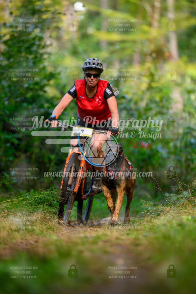 MompixPhotography_Yens2025_B1-1 | PayLife