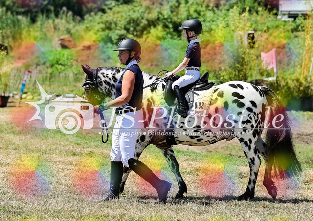 20260628_1_Führzügel-WB_C-C-12 | JS-Photostyle - Sport-/Portrait- & Eventfotografie
