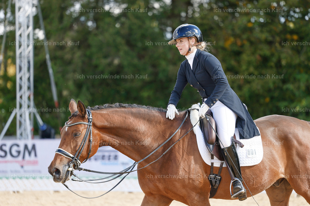 09_2-001-DRESSUR  S_  -StoibPH-5817 | working equitationturnier fotograf videograf stoibphotography marixx film working equitation deutschland reitsport turnierfotografie eventfotografie equestrian events