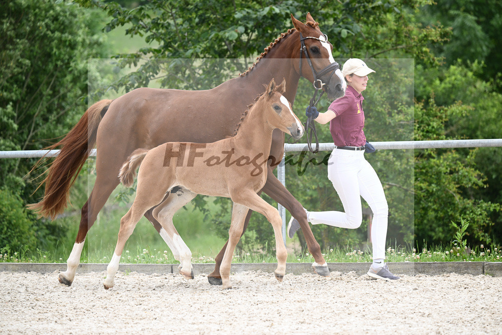 Vivaldos x Belissimo M_HF_Baier_20240246 | hf-fotografie - Realisiert mit Pictrs.com