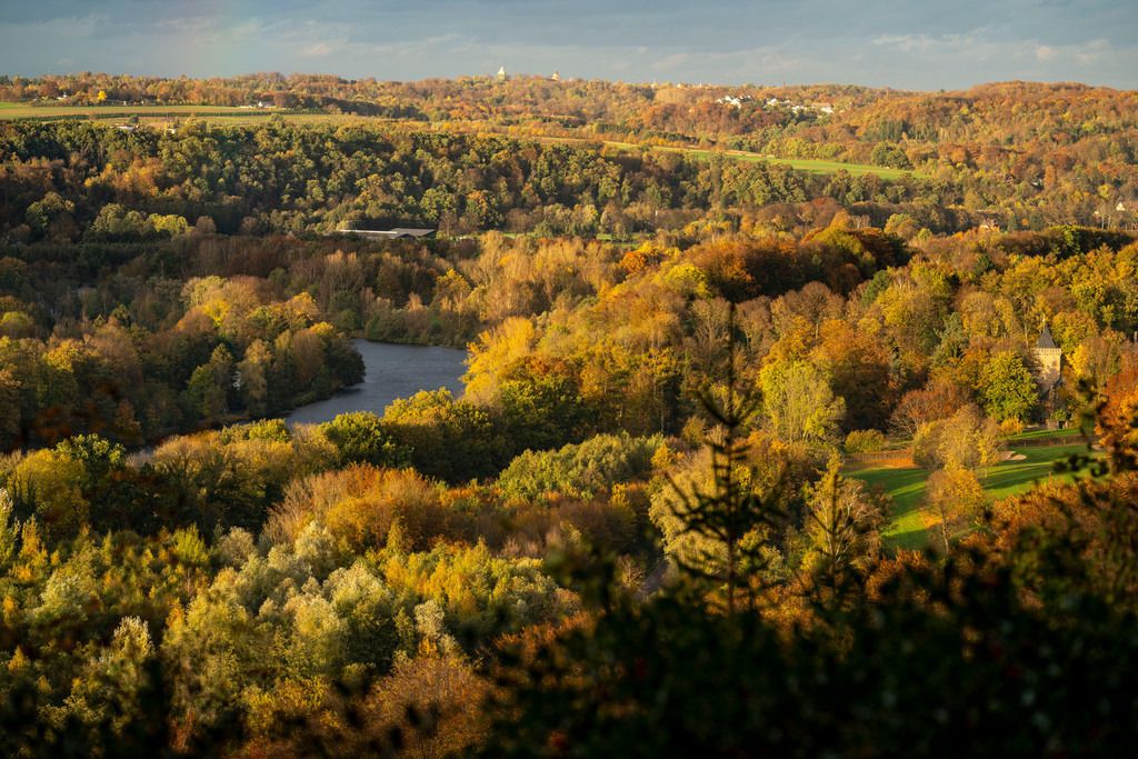 JT-201029 | Herbstlicher Wald entlang des Ruhrtal zwischen Essen-Kettwig und Essen-Werden, vom Oefter Wald aus gesehen, rechts Golfplatz Schloss Oefte, Essen, NRW, Deutschland - Realisiert mit Pictrs.com