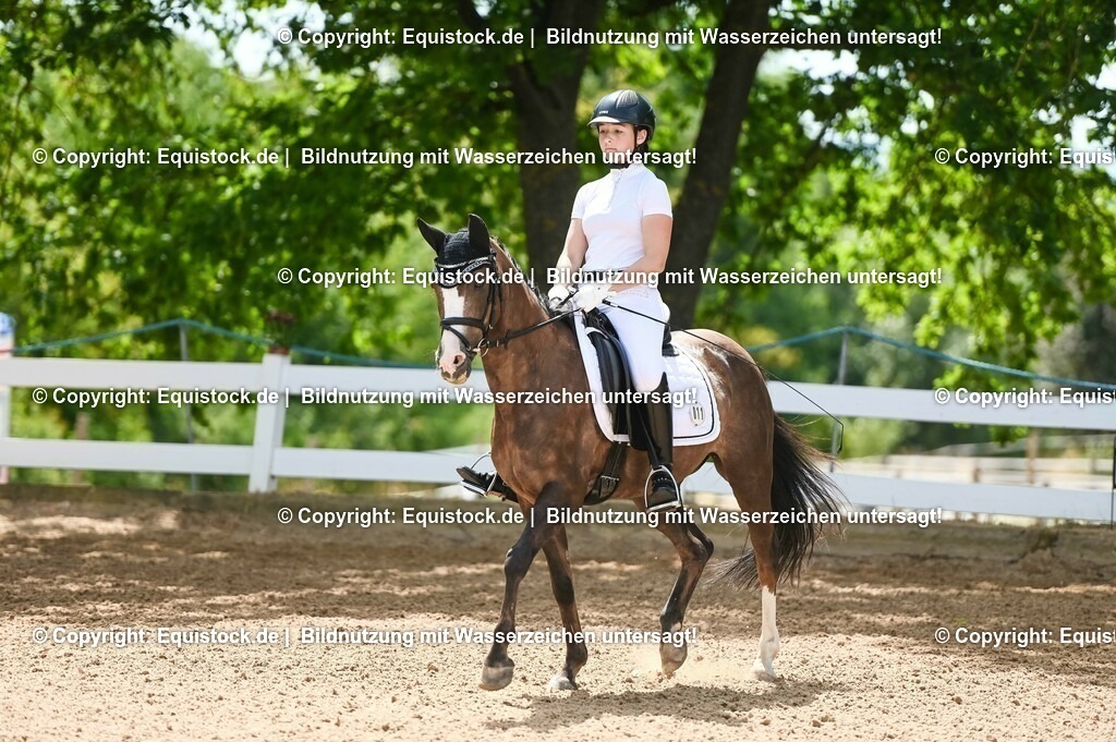 20230715_09_Dressur-WB_0184 | equistock