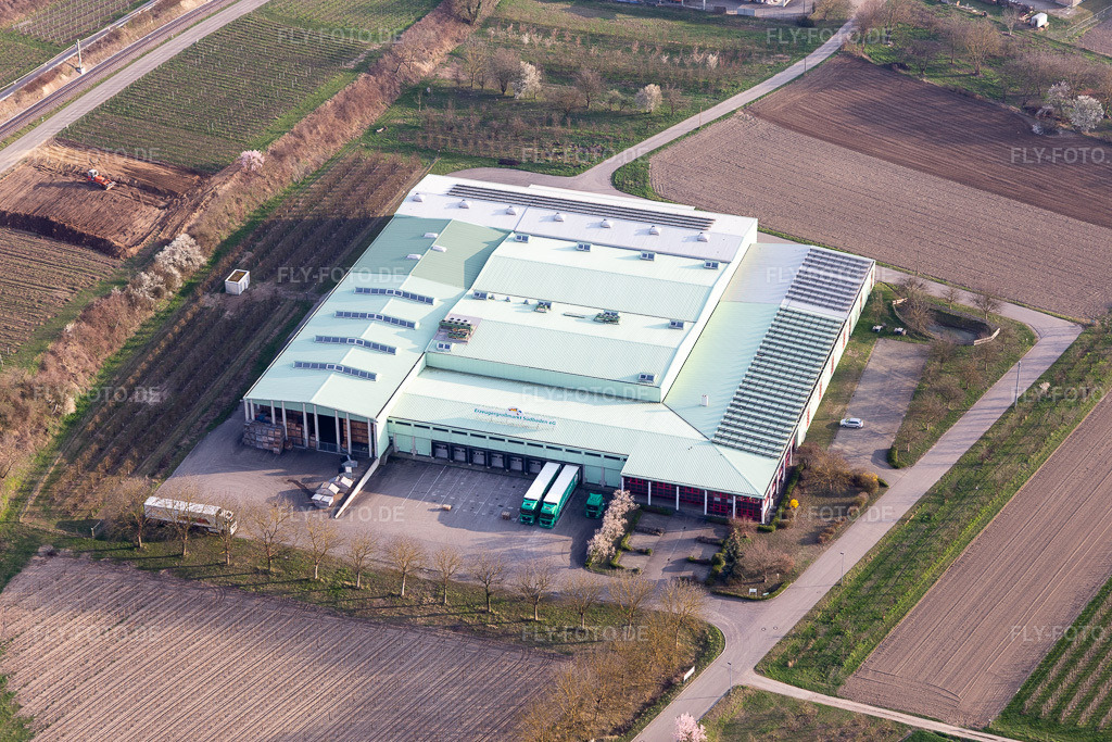 Luftbild: Firmengelände der des Erzeugergroßmarkt Südbaden e:g mit Hallen, Firmengebäuden und Produktionsstätten im Kaiserstuhl im Ortsteil Oberrotweil in Vogtsburg im Bundesland Baden-Württemberg in Deutschland. Foto: IMG_113161.jpg vom 22.03.2019 durch Werner Riehm/FLY-FOTO.de