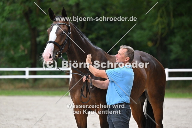 49_Rapunzel von Rocky Lee - Michelangelo_767_6200 | Björn Schroeder Pferdefotografie