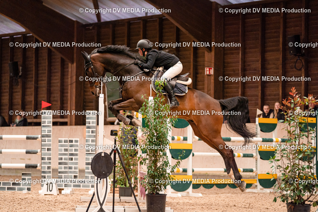 Springen Tag 3-399 | dv-media-shop - Realisiert mit Pictrs.com