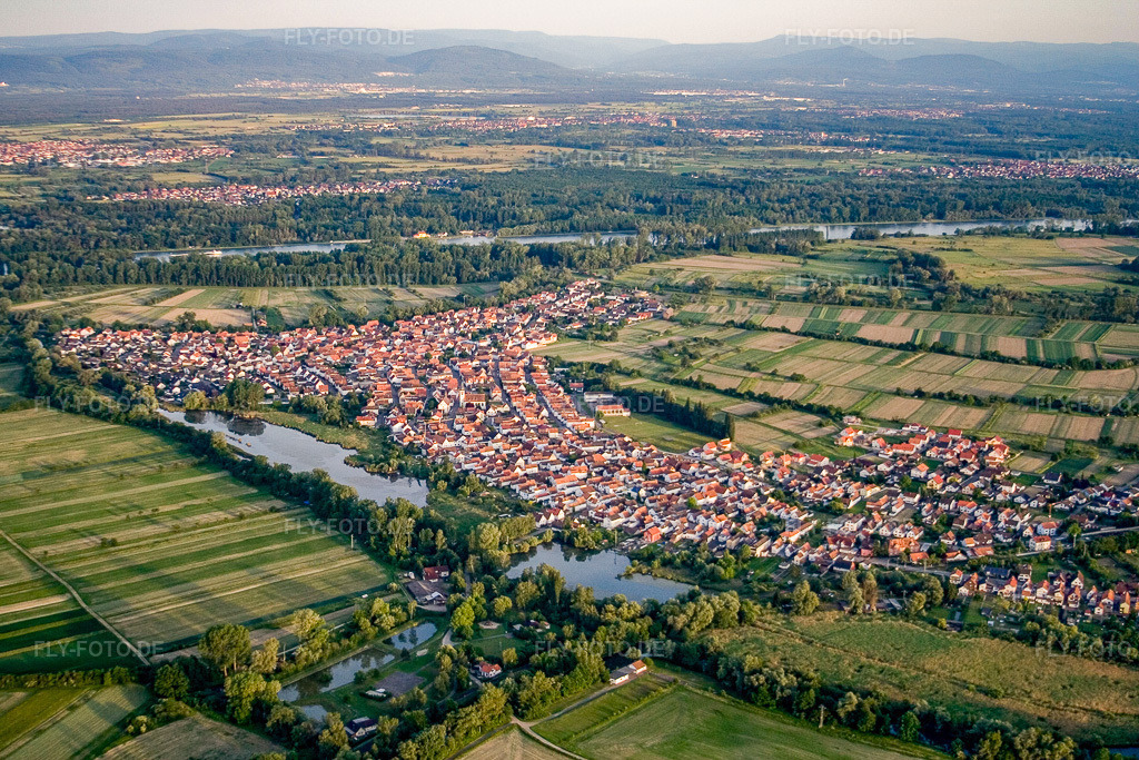 Luftbild: Dorfansicht von Norden in Neuburg am Rhein im Bundesland Rheinland-Pfalz in Deutschland. Foto: IMG_2623.jpg vom 09.06.2006 durch Werner Riehm/FLY-FOTO.de