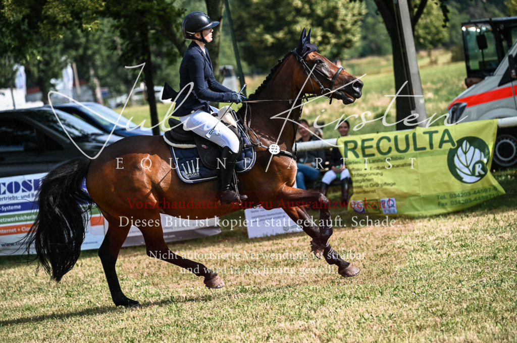 DSC_7855 | Pferde- und Turnierfotografie in Westsachsen. Pferdeportraits, Auftragszeichnungen und intuitive Kunst.