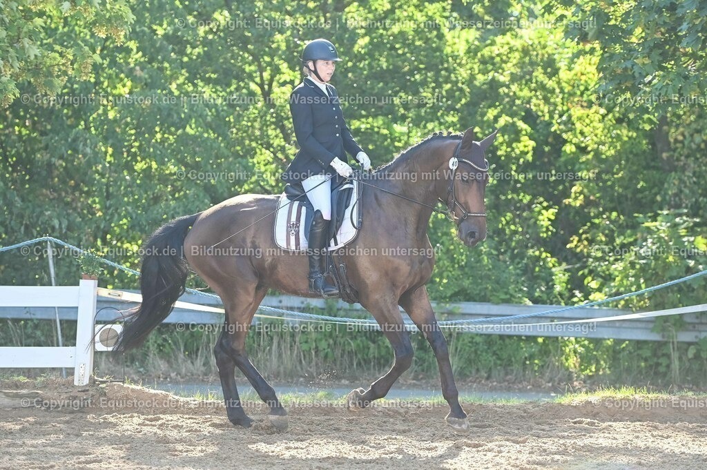 20230715_06_Dressurpferdeprfg. Kl.A_0040 | equistock