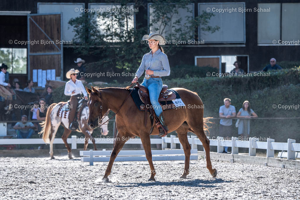 HOB09545 | BS-foto