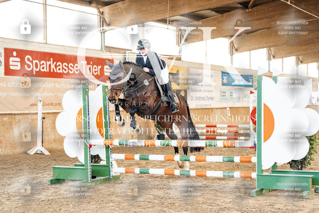 CK904028 | Turnierfotografie Pferdefotografie Trier Rheinland-Pfalz Pferdesport Reitsport Tierfotografie Sportfotografie Pferdevideo Pferdevideografie Equestrianvideography equestrianphotography  - Realized with Pictrs.com