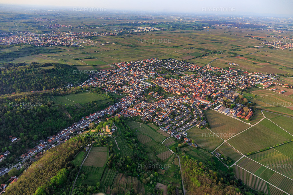 Luftbild: Stadtansicht aus Südosten mit Wachtenburg (Ruine Burg Wachenheim) umgeben von Rebzeilen in Wachenheim an der Weinstraße im Bundesland Rheinland-Pfalz in Deutschland. Foto: IMG_106741.jpg vom 21.04.2018 durch Werner Riehm/FLY-FOTO.de