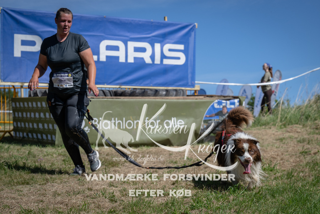 1208_ZZ94146 | kk-dogfotos