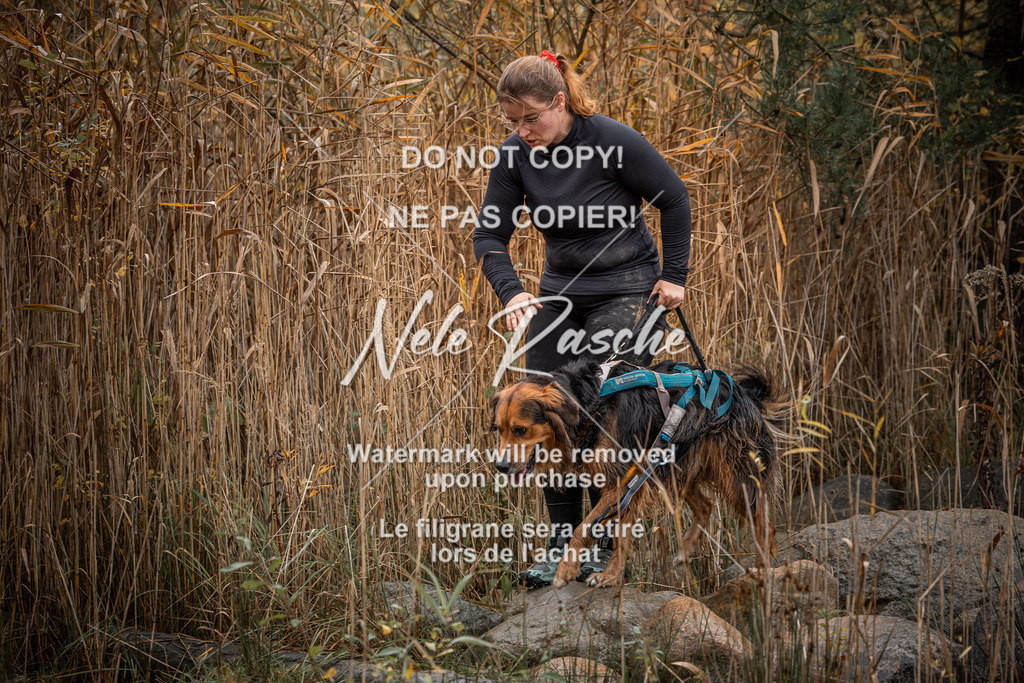 nelerasche_Creepy2025_So1000-1100_296 | nelerasche
