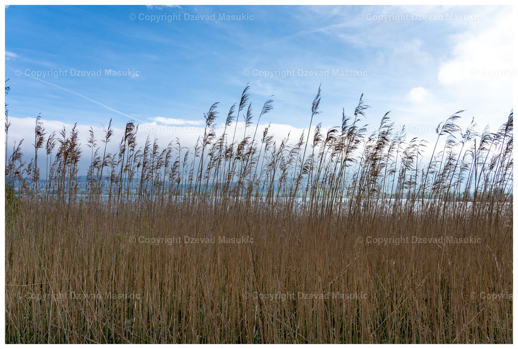 IMG_9350 | Ich fotografiere Landschaften, Produkte und erstelle für Sie Firmenportraits. Engagieren Sie mich für den nächsten Projekt. - Realisiert mit Pictrs.com