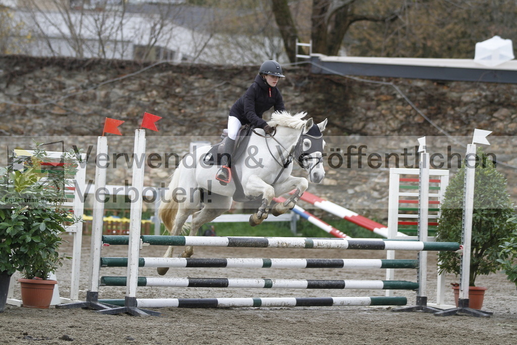 _MG_3506 | equestrian-live-com