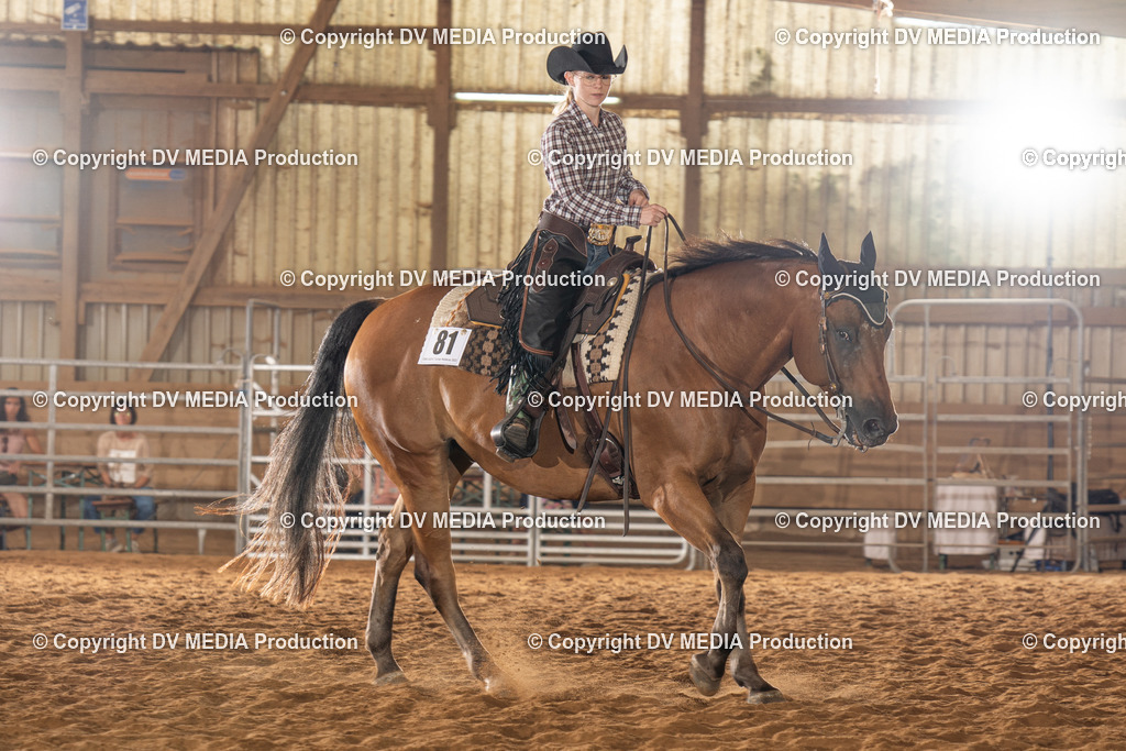 NID01649 | dv-media-shop - Realisiert mit Pictrs.com