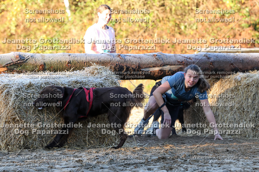 Dog Paparazzi - Strongdog 10-25-659 | Dog Paparazzi Jeanette Grottendiek Fotografie & Videografie - Realisiert mit Pictrs.com