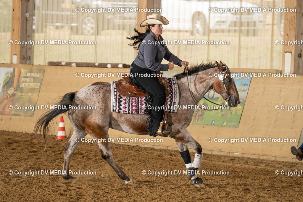 LAU01570 | dv-media-shop - Realisiert mit Pictrs.com