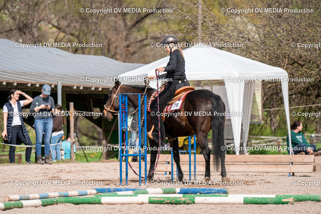 BAL02546 | dv-media-shop - Realisiert mit Pictrs.com