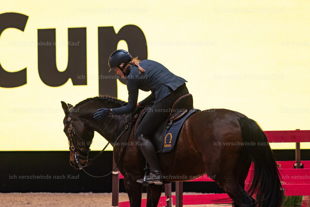 JoseraCup-90 | working equitationturnier fotograf videograf stoibphotography marixx film working equitation deutschland reitsport turnierfotografie eventfotografie equestrian events